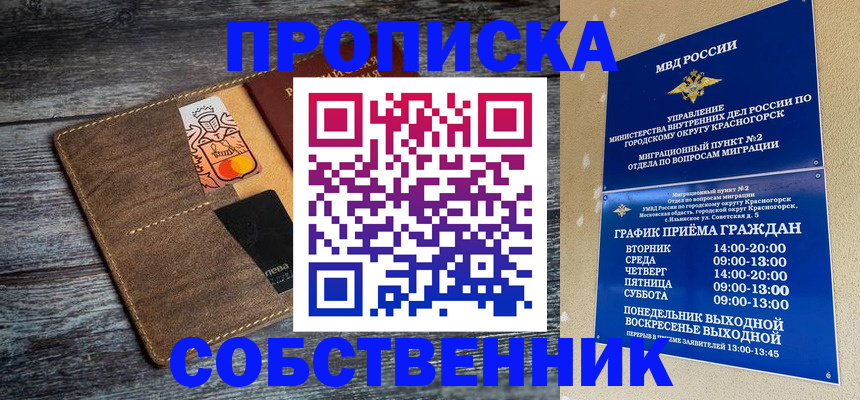 временная регистрация надежно в Луге